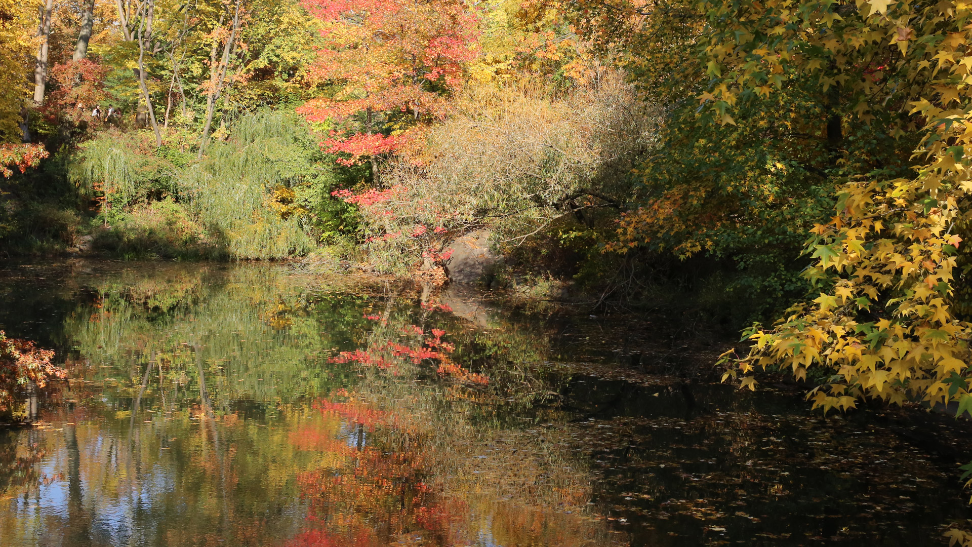 full screen background image