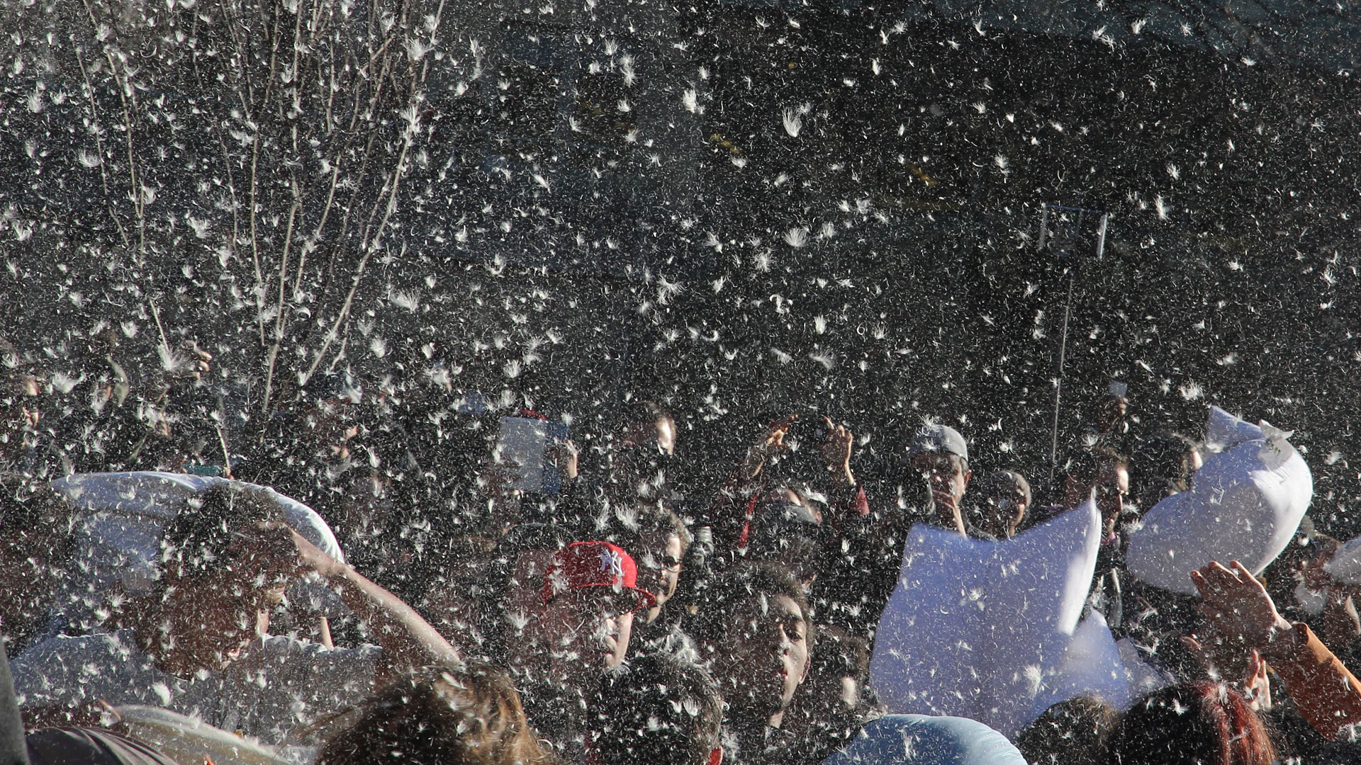 full screen background image